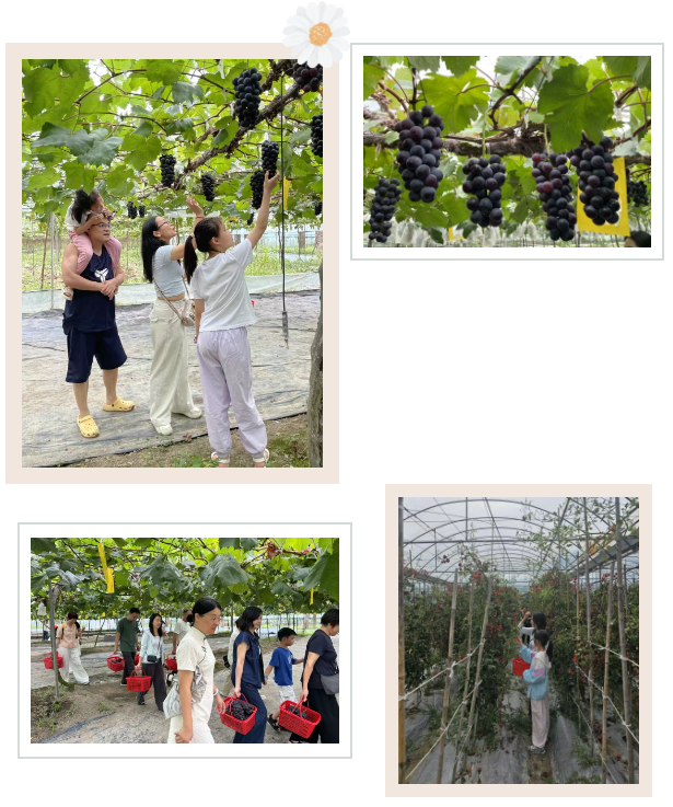 20250723_152617_672710.png image.png